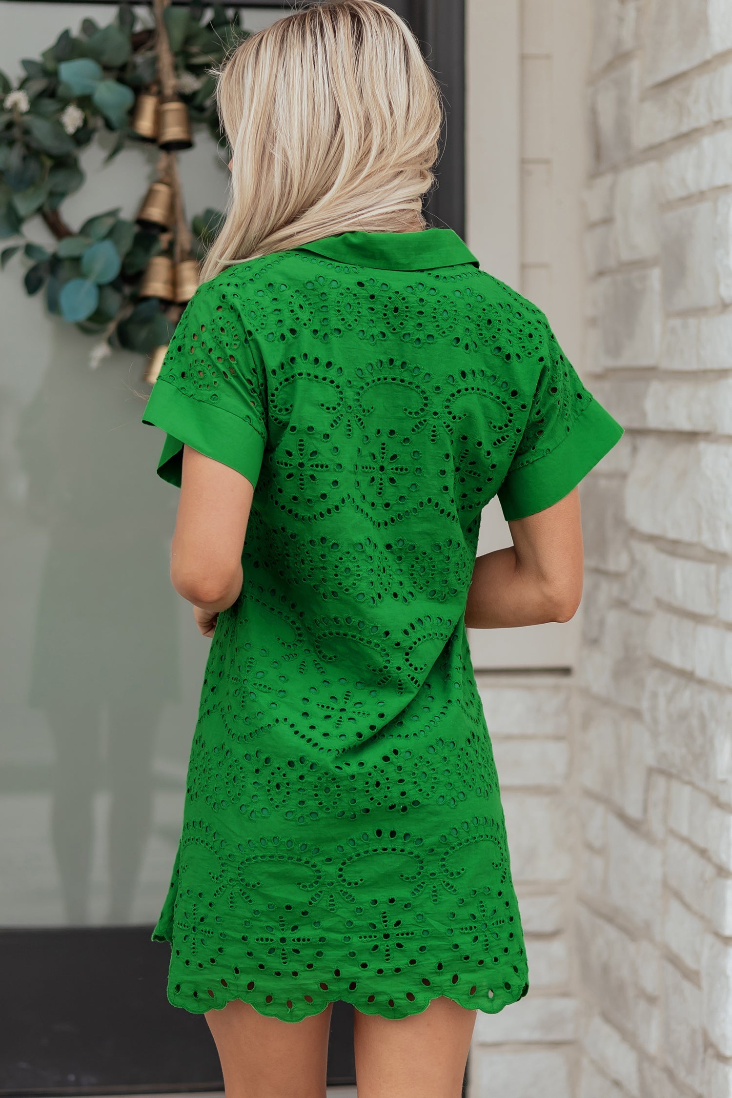 Solid Embroidered Eyelet Collared V-Neck Mini Dress