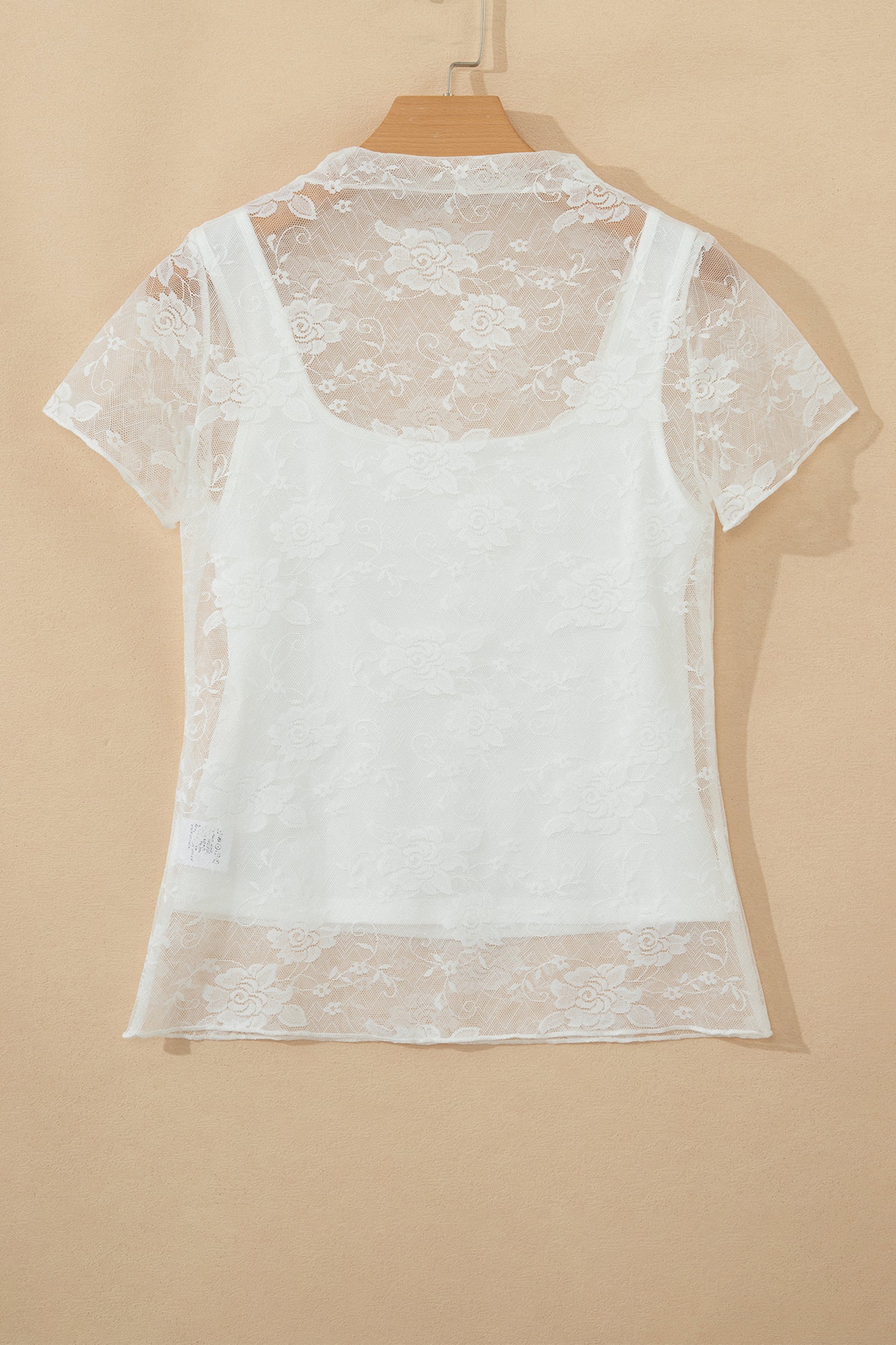 Sheer Lace Mesh Round Neck T-Shirt