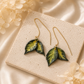 Hoya Polyneura Threaders
